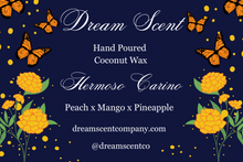 Load image into Gallery viewer, Candles Large
