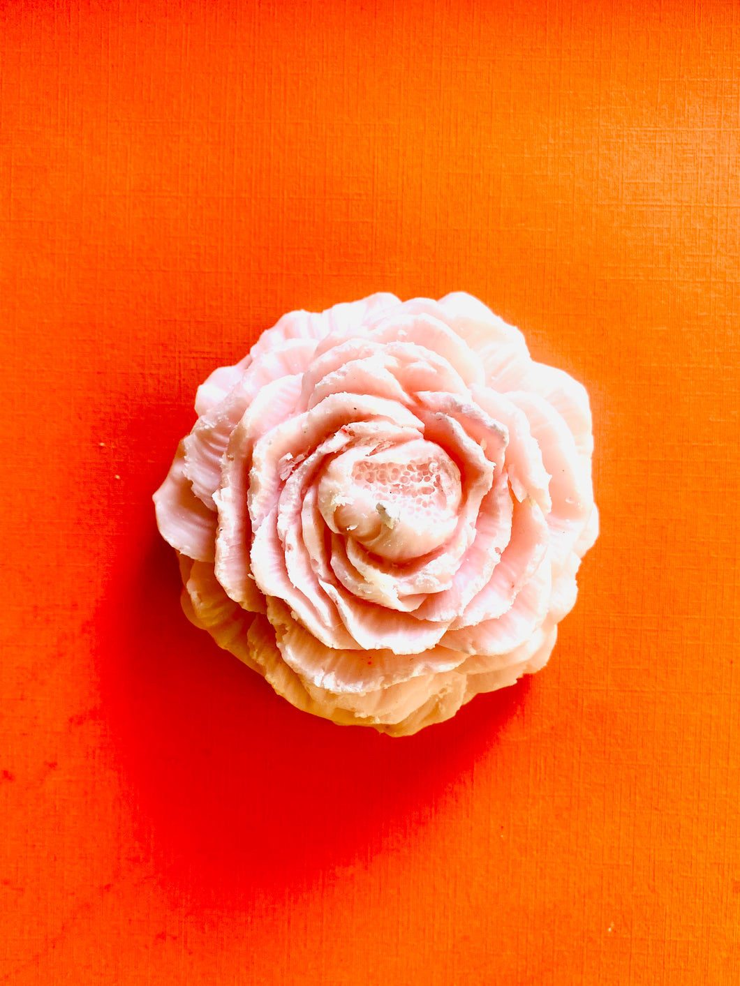 Peony - Pink
